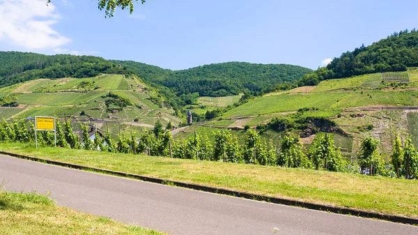 Road along Mosel river in Cochem - Zell region — Stock Photo, Image