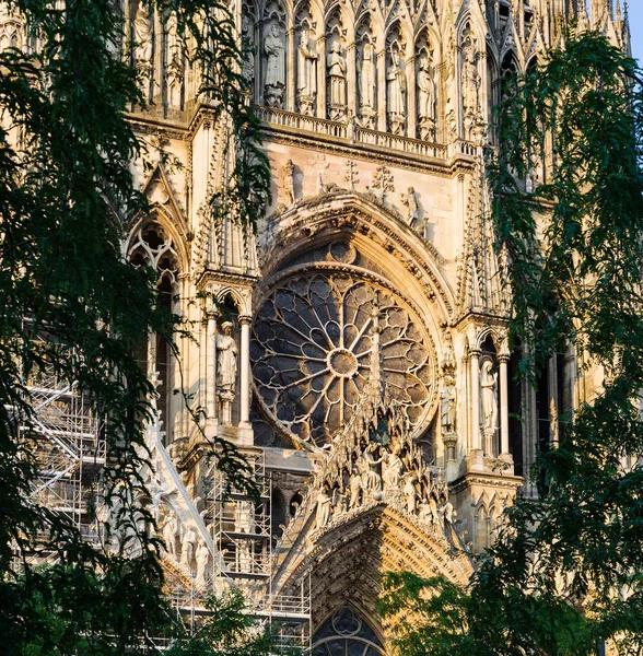 Vista della Cattedrale di Reims nella sera d'estate — Foto Stock