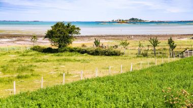 Brittany'Atlantik kıyısında kırsal manzara
