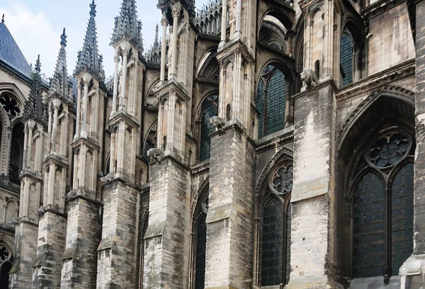 Widok z boku ściany katedry w Reims — Zdjęcie stockowe