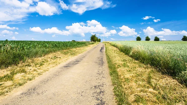 Загородная дорога между зерновыми полями в Пикардии — стоковое фото
