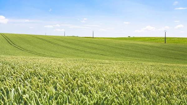 Vista panorámica del campo de trigo bajo el cielo en Picardía —  Fotos de Stock