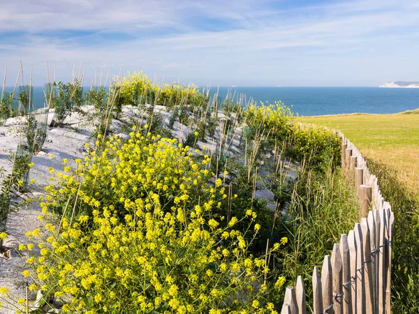 Bunkr na Cap Gris-Nez na kanál La Manche — Stock fotografie