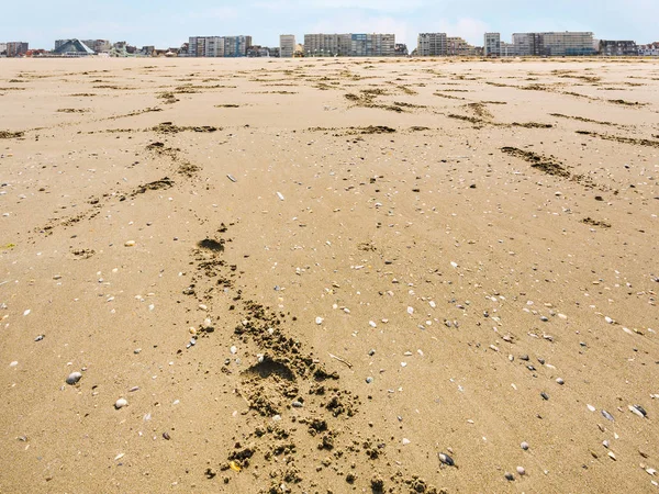 Sand beach of Le Touquet with apartment houses — Stock Photo, Image