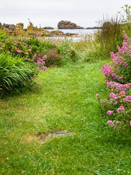 英吉利海峡古弗尔湾海岸的草地 — 图库照片
