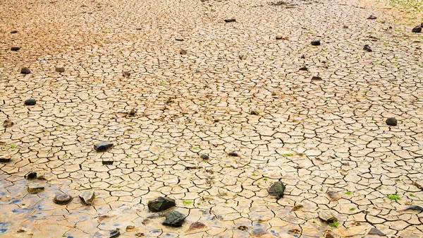 Cracked land on coast of English Channel after ebb — Stock Photo, Image