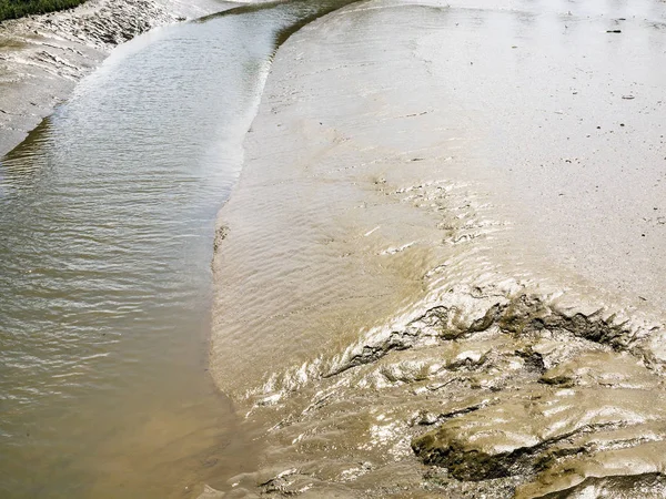 Muddy bank of Jaudy river in Brittany — Stock Photo, Image