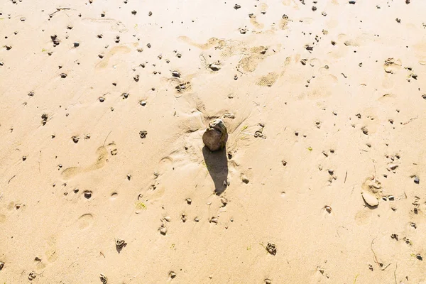 Sand surface of beach Plage de la Baie de Launay — Zdjęcie stockowe