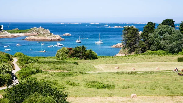 Widok pola zebranych w Île de-Brehat i gmina — Zdjęcie stockowe