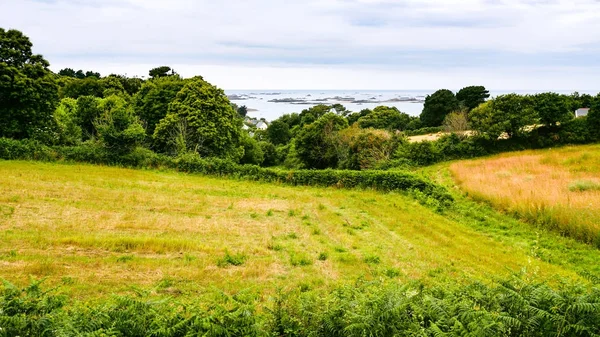 Собранное поле на атлантическом побережье в Бретани — стоковое фото