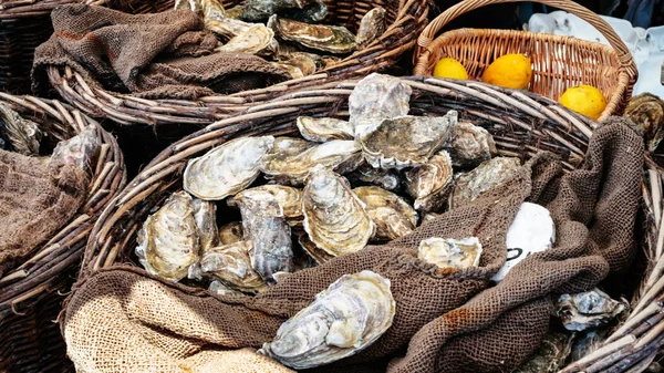 Raw oysters on outdoor street market in Cancale — Stock Photo, Image