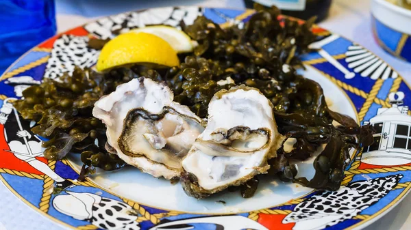 Fresh oysters on plate in local fish restaurant — Stock Photo, Image
