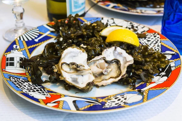 Ostras cruas em prato no restaurante de peixe local — Fotografia de Stock