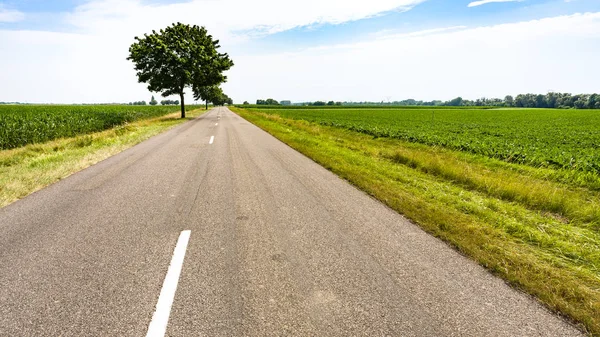 Carretera entre campos en la región de Alsacia — Foto de Stock