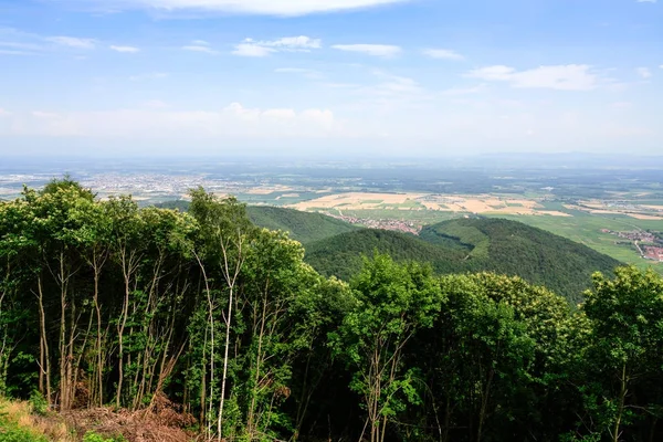 Vista superior de la región Ruta del Vino de Alsacia desde Vosgos — Foto de Stock
