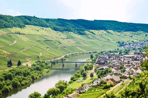 Small town in valley of Mosel river — Stock Photo, Image
