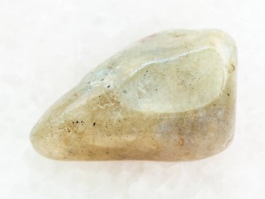 cilalı Labrador taş üzerinde beyaz mermer