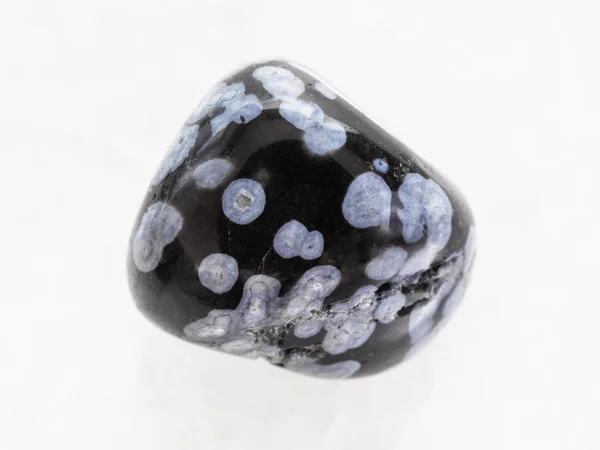 Tumlade snowflake obsidian ädelsten på vit — Stockfoto