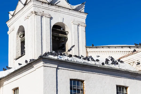Pigeon on roof of old bell tower in Suzdal town — Stock Photo, Image