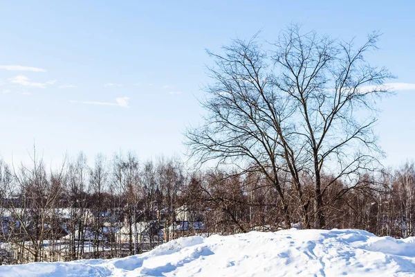 Winter landscape in Suzdal town in sunny day — Stock Photo, Image