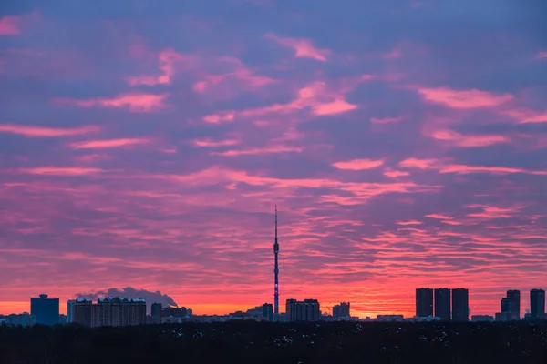 Blue sky with pink clouds over city at sunrise — Stock Photo, Image