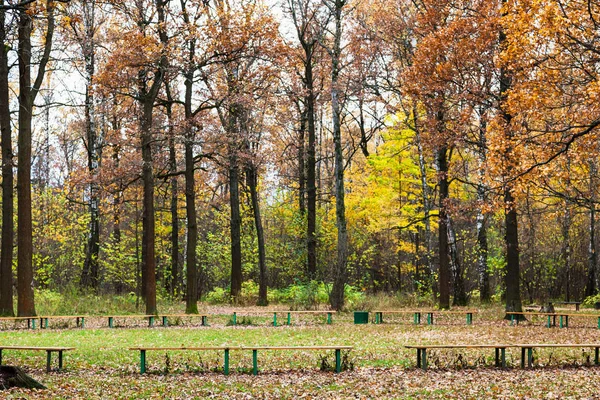 Benches on meadow in urban park in autumn — Stock Photo, Image