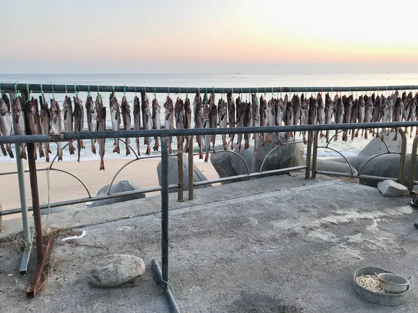 Stand con essiccazione di pesce sulla spiaggia nella città di Sokcho — Foto Stock