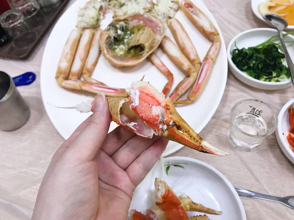 Eating crab in local cafe in South Korea — Stock Photo, Image
