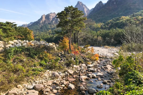 Rio de montanha no Parque Nacional Seoraksan — Fotografia de Stock