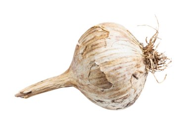 Çin sarımsağının soyulmamış soğanının yan görüntüsü