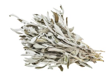 Bir demet kurutulmuş adaçayı (salvia officinalis) bitkisi