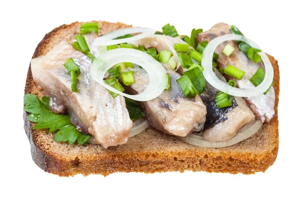 Open sandwich salted herring and onion isolated — 스톡 사진