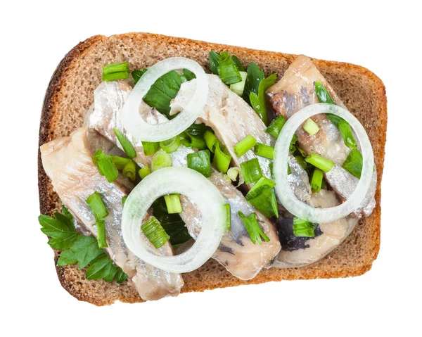 Top view of open sandwich salted herring and onion — 스톡 사진