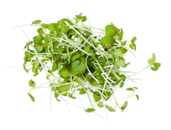 Top view of heap from fresh mustard cress isolated — 스톡 사진