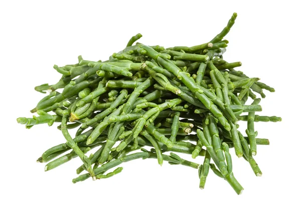 Stos gałązek rośliny Salicornia (glasswort) — Zdjęcie stockowe