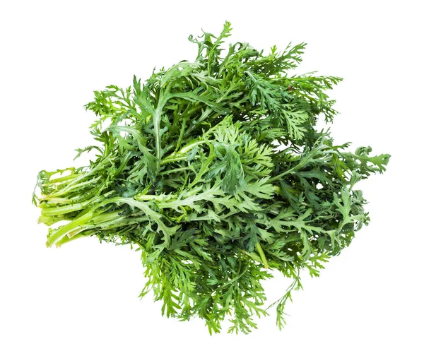 Bundle of edible chrysanthemum greens isolated — Stock Photo, Image