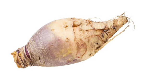 Färska rutabaga grönsaker isolerad på vitt — Stockfoto