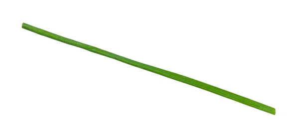 Fresh single stalk of Chives isolated on white — Stock Photo, Image