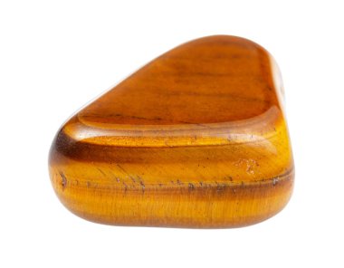 Kaplan 'ın göz kapağı taşı beyaza izole edilmiş.