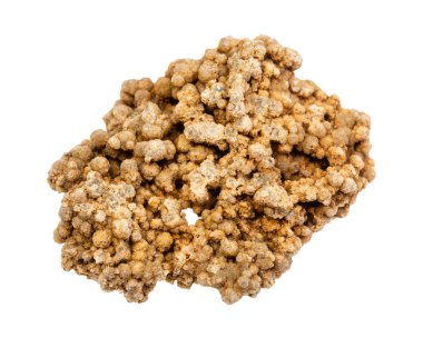 Cilalanmamış üzümlü kayalık yalıtılmış