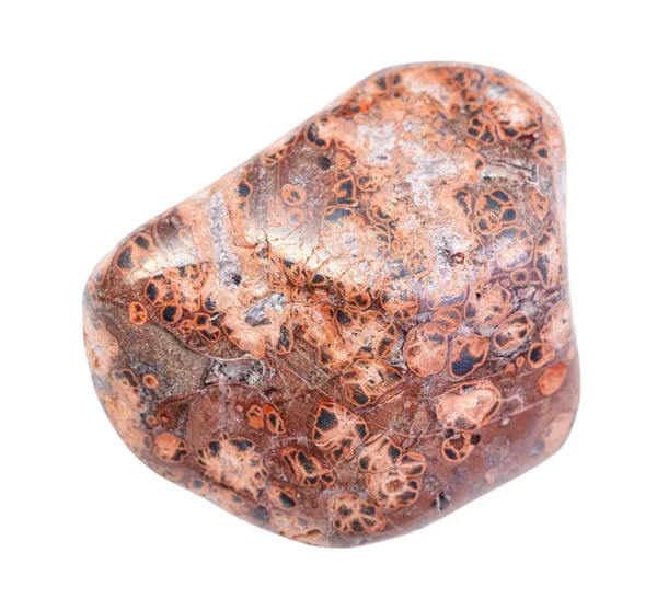 Guijarro de piel de leopardo jaspe (piedra de jaguar) piedra — Foto de Stock
