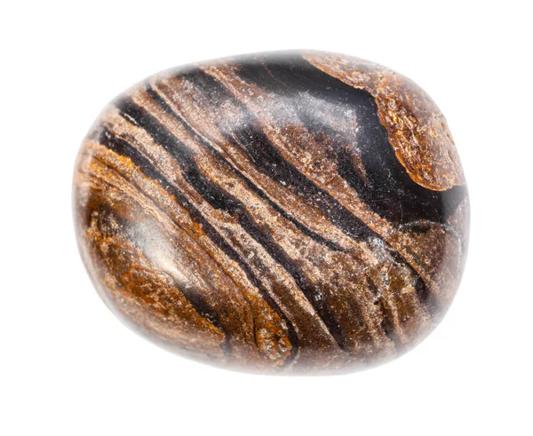 Pedra estromatolita polida isolada sobre branco — Fotografia de Stock