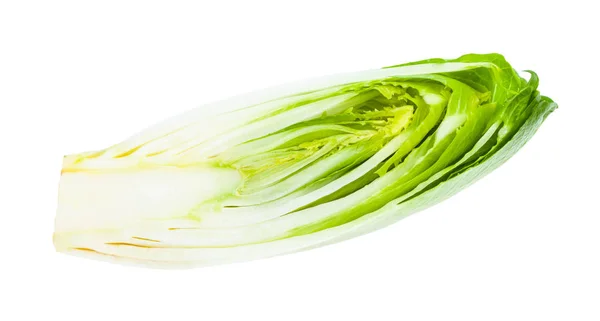 Cross-section of Belgian endive (chicory) isolated — 스톡 사진