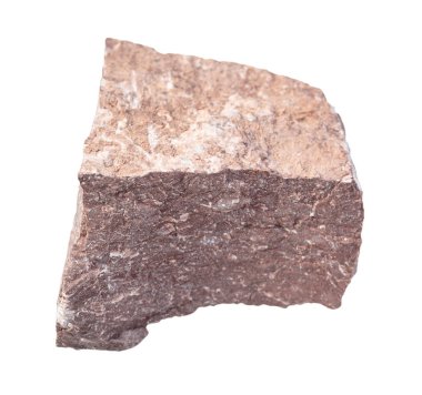 Siltstone kayası beyaza izole edilmiş.