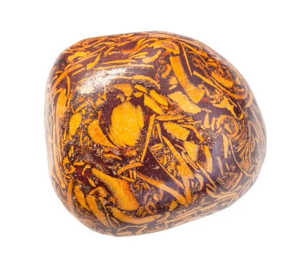 Cilalanmış Miriam Jasper mücevher izole