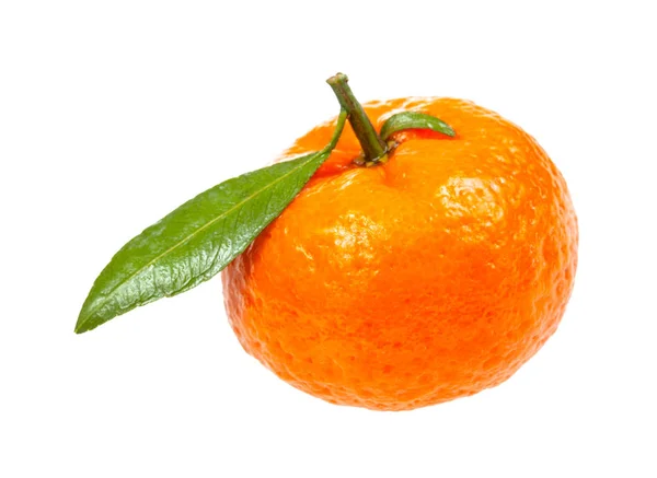 Świeża mandarynka abchaska z odizolowanym zielonym liściem — Zdjęcie stockowe