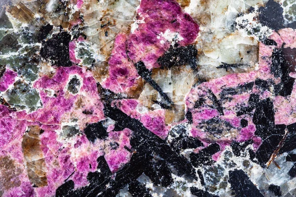 Wypolerowana skała sjenitowa z eudialitem i aegiriną — Zdjęcie stockowe