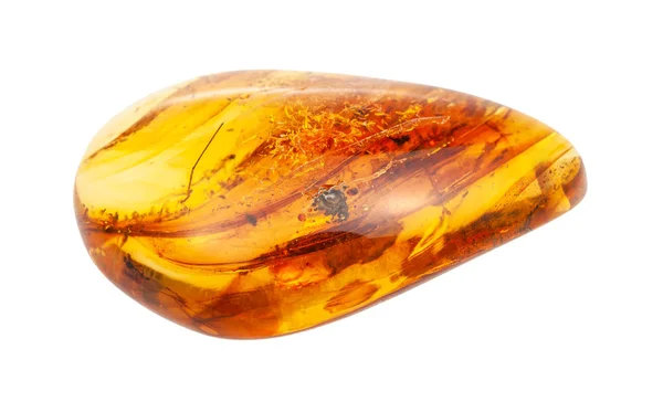 Polished Amber gem stone with inclusions isolated — Stock Photo, Image