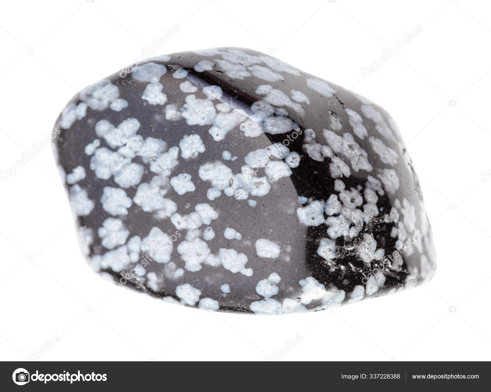 Polished Snowflake Obsidian Gem Stone Isolated Stock Photo By C Vvoennyy