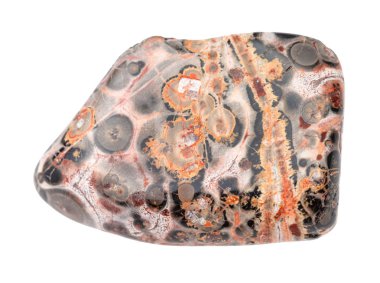 cilalanmış leopar derisi Jasper mücevheri izole edilmiş.